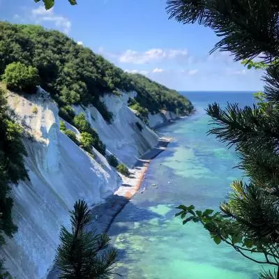 Møns Klint. Foto: Sascha Bendix